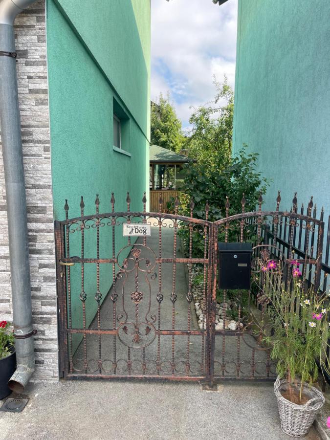 Apartment Rea Ilidza 2 塞拉耶佛 外观 照片