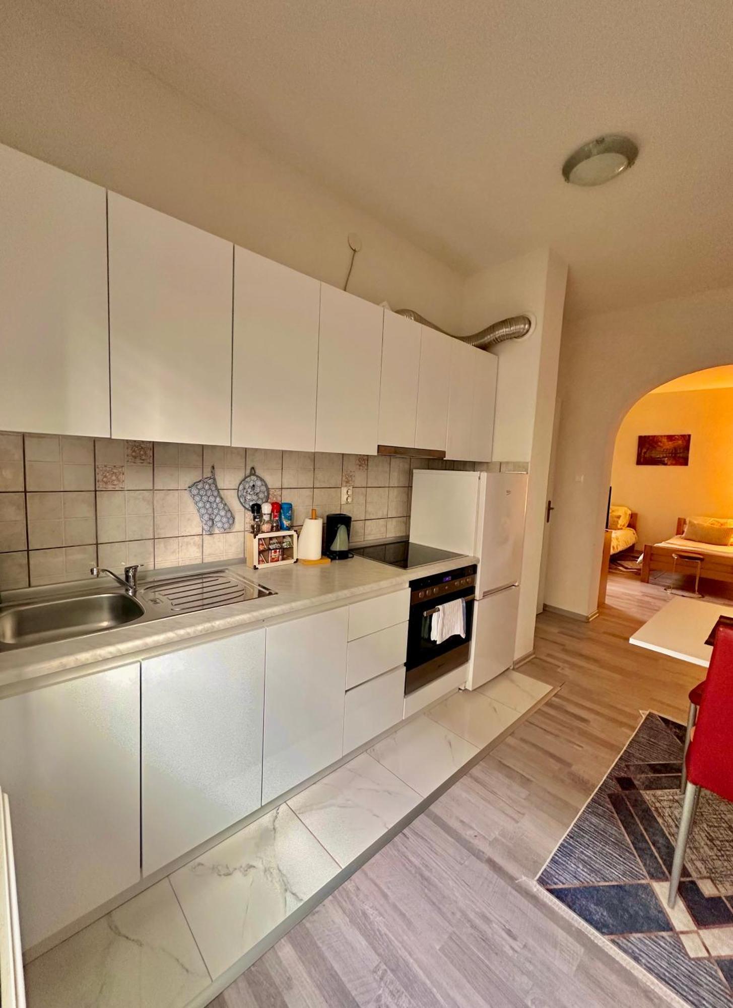 Apartment Rea Ilidza 2 塞拉耶佛 外观 照片